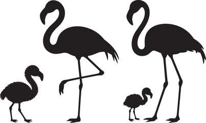 Fototapeta premium Black silhouette of flamingo birds adult and chicks on transparent background for nature design