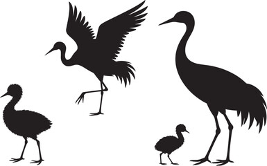 Fototapeta premium Crane Bird Silhouette Set Transparent Background Vector Illustration