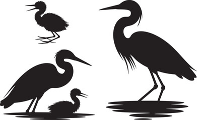 Heron Bird Silhouettes Collection Adult and Young Wading Birds Vector Transparent Background