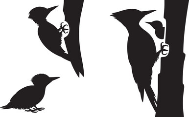 Woodpecker Family Silhouettes Perched on Tree Trunks Black and White Vector Art Transparent Background