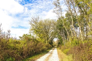 Sunny October day landscape of the White River State Trail passing by trees displaying bright Autumn colors near Springfield, Wisconsin.