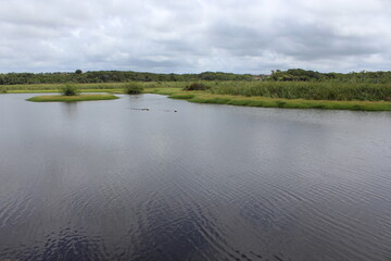 the river in the summer