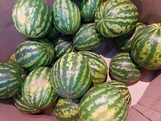 Fresh Watermelons Packed in a Cardboard Box Ready for Sale at a Local Market