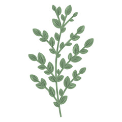 Foliage branch illustration, plant drawing, Minimal botanical stem, Organic natural botanical illustration
