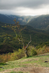 beautiful mountain landscape with clouds upper them. autumn time