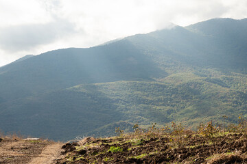 beautiful mountain landscape with rose plantation and clouds upper them. autumn sunny day