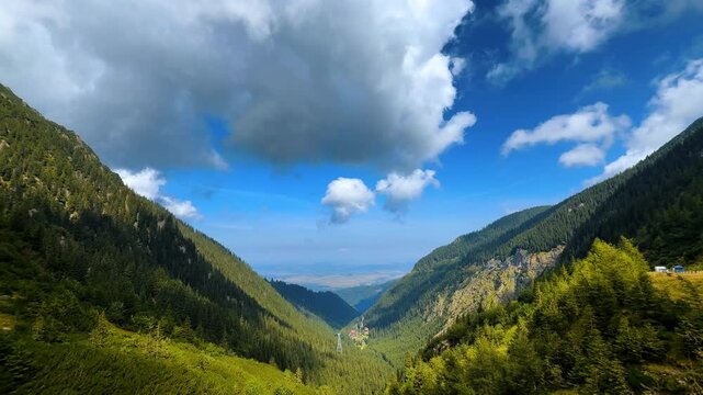Amazing green mountains covered with pine tree woods. Cumulus clouds hang in the blue sky above.