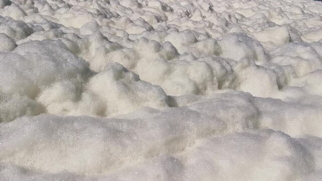 Thick white sea foam covering a sandy beach as ocean waves gently roll in from the background under a clear blue sky, a natural phenomenon caused by algae blooms and agitated seawater
