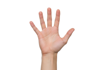 Open human hand PNG isolated on transparent background, showing five fingers for counting or gesturing in communication and expression