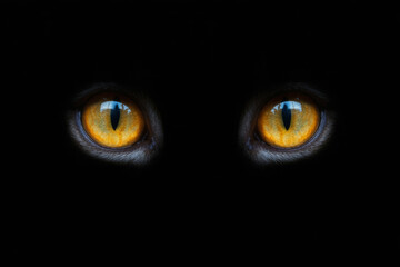 Close-up of intense yellow cat eyes in the dark a striking animal portrait suitable for mystery and suspense themes