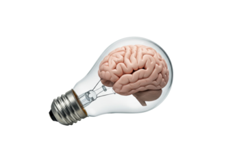 Human brain inside a light bulb isolated on white, concept for creativity, ideas, innovation, and intelligence PNG