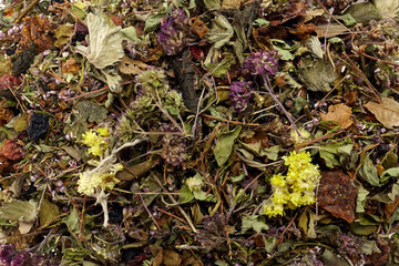 Herbal tea blend featuring dried flowers, leaves, and herbs, showcasing vibrant colors and textures, perfect for relaxation and wellness, with copy space for design