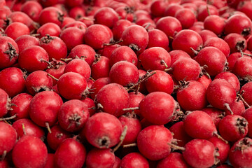 Vibrant clusters of hawthorn berries, showcasing their rich red color and textured surfaces, arranged in a natural setting, highlighting seasonal abundance and nature's beauty