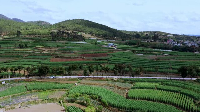 Aerial view of terraced fields in mountainous rural China, rural revitalization, poverty alleviation