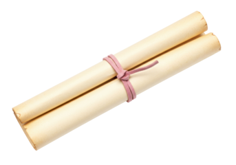 Old rolled parchment scroll tied with pink ribbon isolated PNG, antique paper document for treasure map or historical message on transparent background