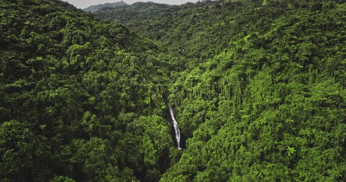 Fiji, Nadi Waterfall: Aerial view hidden waterfall flowing through a lush green rainforest, creating a breathtaking natural spectacle. Wild landscape, nature background. Drone flight footage zoom in