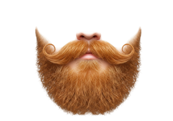 Ginger beard and mustache PNG isolated on transparent background, realistic facial hair for graphic design and compositing