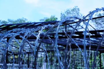Barbed wire over a concrete wall. The concept of deprivation of liberty or restriction of territory...