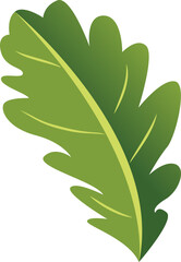 Green Leaf Illustration