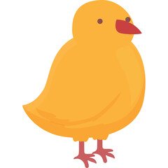A Small Yellow Chick With Orange Beak And Red Feet Stands On A Transparent Background