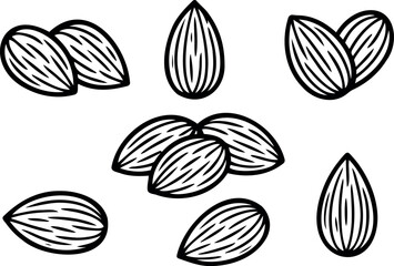 Vector illustration of several almonds scattered and grouped together in a simple line drawing