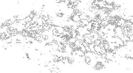 Abstract black outlines on white create a textured surface, filled with organic shapes and speckled patterns reminiscent of a delicate, detailed geological map or an artistic contour drawing
