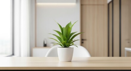 Small green potted plant on light wooden desk indoors