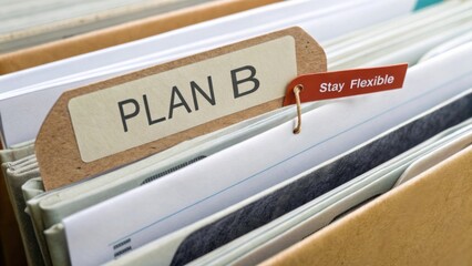 Organizational Strategy for Business with Flexible Plan B Document