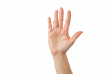 Hand Showing Open Palm Gesture — transparent png background