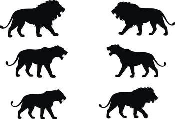 Lion silhouette vector set, male and female lion poses, black wild animal icons, walking stance illustration, safari wildlife, jungle predator design
