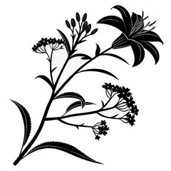 Abstract white floral silhouettes against a deep black background with delicate lines