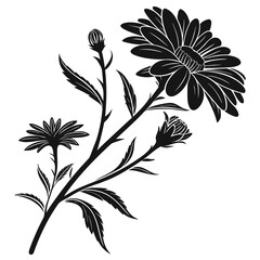 Elegant black silhouette of a daisy flower branch with buds and leaves