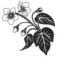 Elegant black and white floral branch with blossoms and leaves in silhouette style