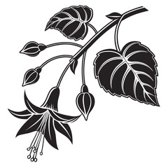 Stylized black and white silhouette of a fuchsia flower branch with buds and leaves