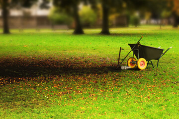 A garden wheelbarrow and rake stand in the park after cleaning the area.