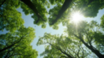 Fototapeta premium background blurred A tree canopy from below, green leaves against sky, birds flying past, midday, dappled sunbeams, 18mm, upward tilt, Kodak Gold sim, branches swaying.