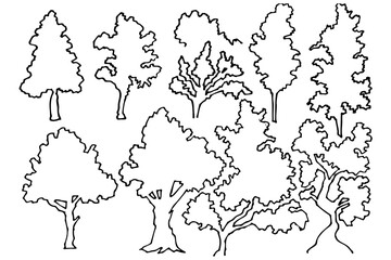 木の線画シルエット素材セット｜ナチュラルな樹木イラスト・植物ベクター集