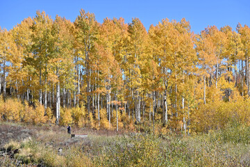 Photographing the Fall Colors