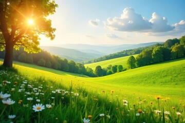 Golden Sunlight Bathes Lush Green Pasture with Wildflowers, Peaceful Rolling Hills in the Distance - Idyllic Summer Scene