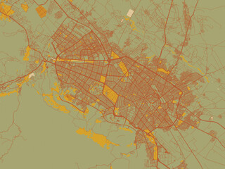Stylized minimalist map of Mashhad, Iran in earthy sage background with rust roadways and ochre details.