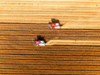 Combine harvester working on a wheat field，Aerial photos