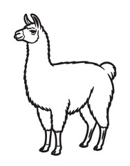 Fototapeta premium Black outline drawing of a standing llama with detailed fur and facial features, facing left.