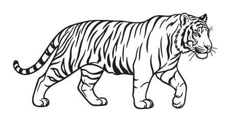 Obraz premium Black and white line drawing of a walking tiger facing left with detailed stripes and a calm expression.