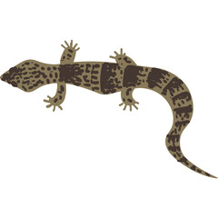 Naklejka premium A cartoon gecko lizard with brown and beige patterned skin crawls on a transparent white background displaying its textured skin and slender tail in a playful illustration