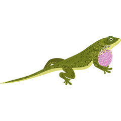 Green Lizard with Pink Throat Pouch Displaying Against a Transparent Background Simple Cartoon Style Illustration Isolated Realistic Animal