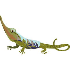 Cartoon Style Chameleon Reptile With Long Snout And Green And Brown Scales On Transparent Background Detailed Illustration