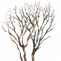 Watercolor painting of a bare tree on a white background for digital design projects