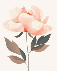 Watercolor peony bloom on cream background for spring design, invitation, decoration