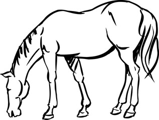 Simple Horse Drawing Vector Art for Logo and Print