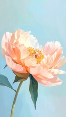 Obraz premium Beautiful Light Pink Peony Flower Blooming Against a Soft Blue Background.